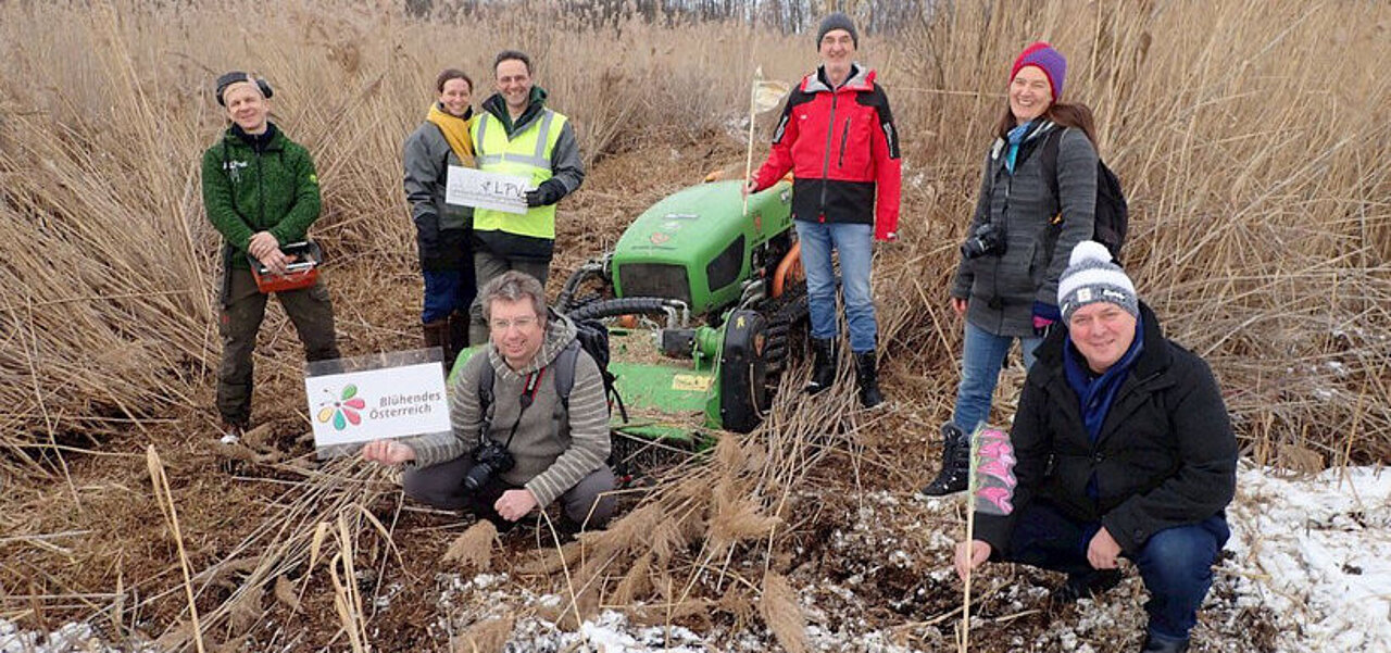 Menschengruppe mit Traktor im Schilf