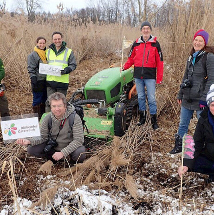 Menschengruppe mit Traktor im Schilf